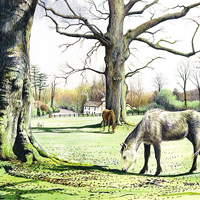 Karen Frampton, New Forest Artist, paintings, greeting cards, murals, slate, Hampshire, UK